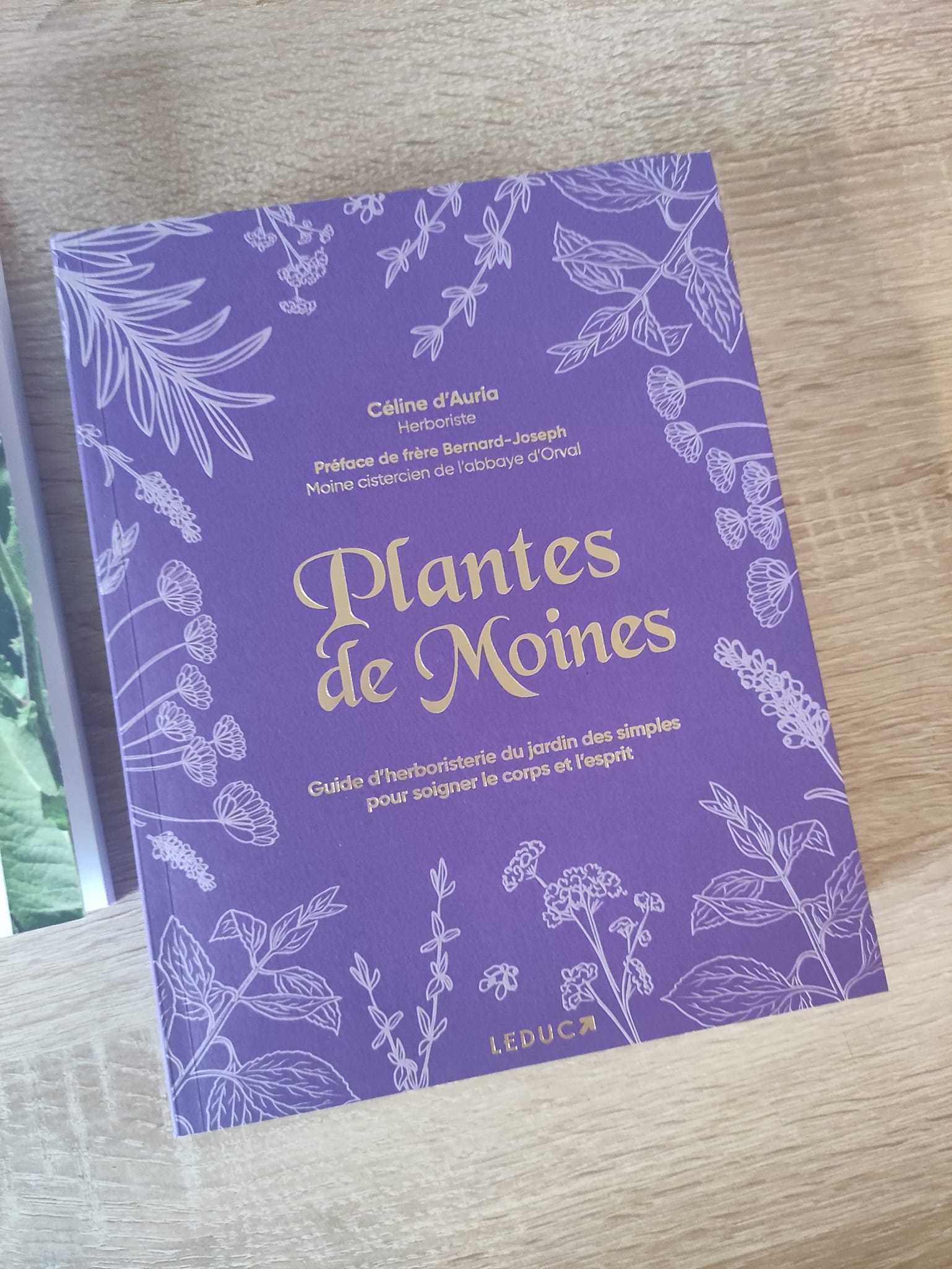 Plantes de Moines